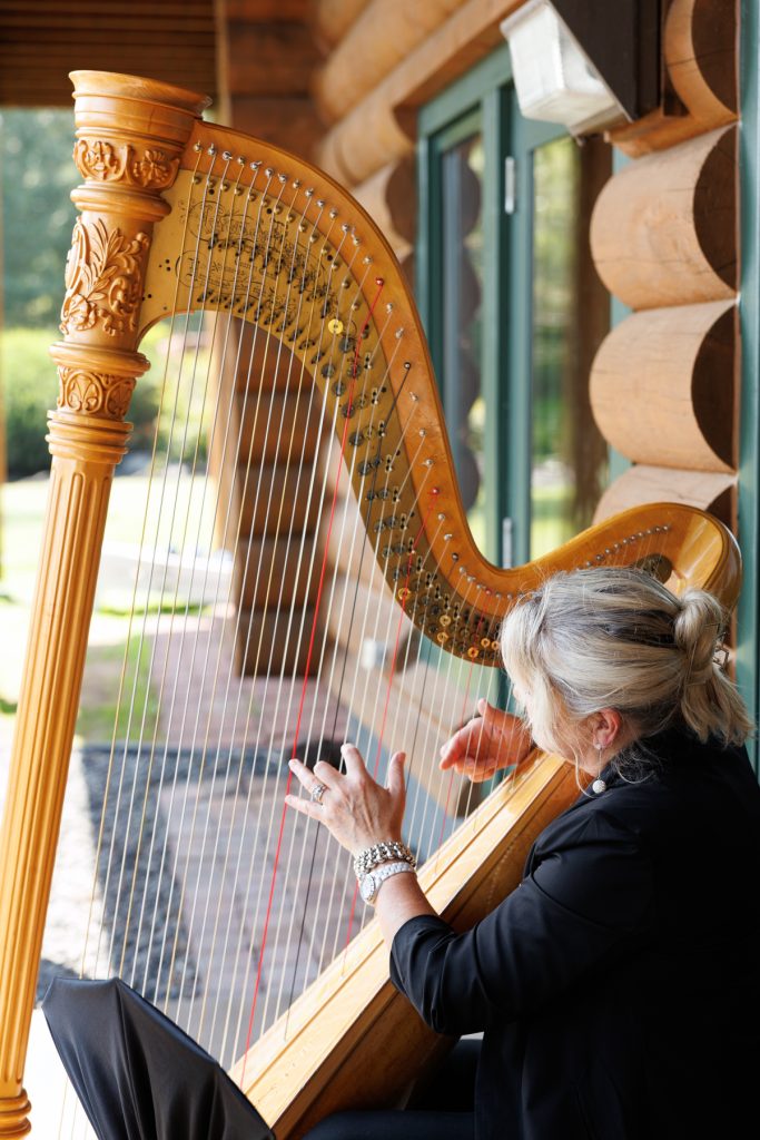 Elegant harpist playing a beautiful gold harp at a Wisconsin wedding, showcasing Beau Petersen Photography’s